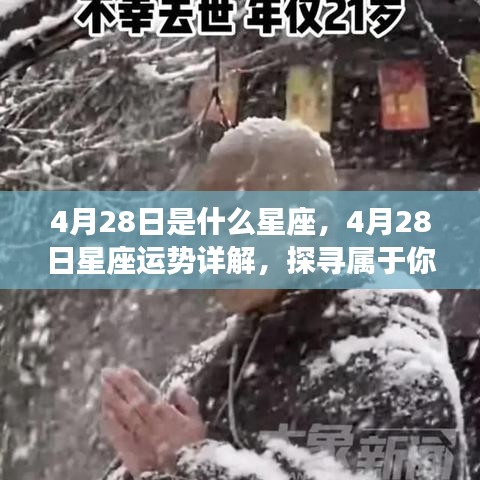 4月28日星座运势揭秘，探寻属于你的星辰轨迹，掌握未来运势走向