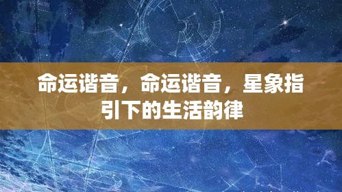 解梦 第117页