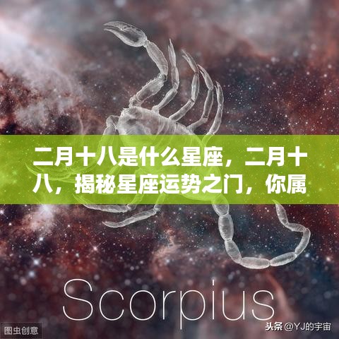 慌慌张张 第4页
