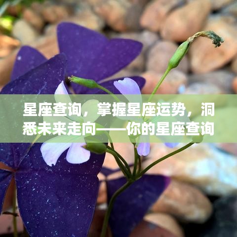星座 第114页
