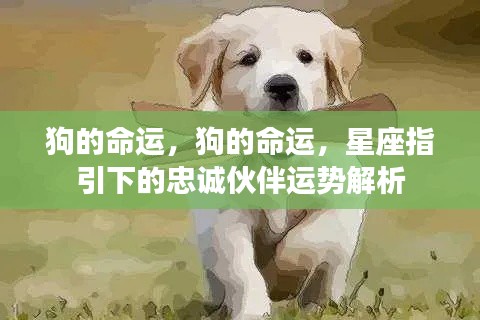 风水 第117页