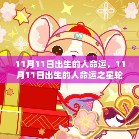 测试 第117页