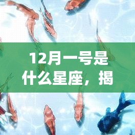 揭秘星座运势，12月1日出生者的星座运势详解