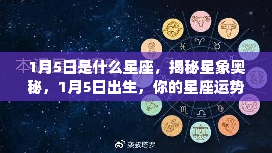 开张圣听 第4页