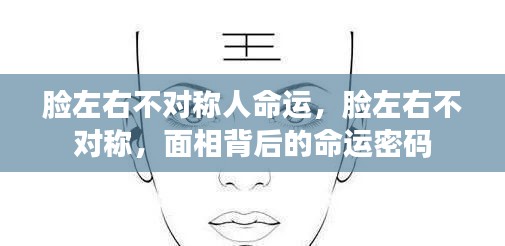起名 第114页