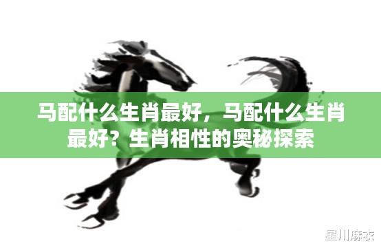 生肖奥秘揭秘，马与哪些生肖最配？