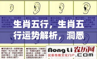 解签 第110页