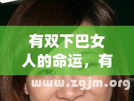 测试 第114页