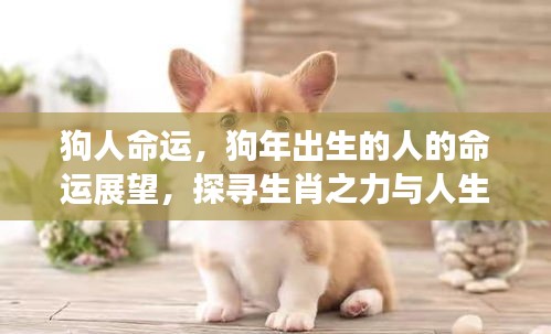 测试 第112页