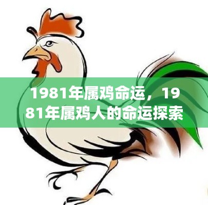 算命 第114页