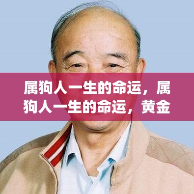 花样新翻 第4页