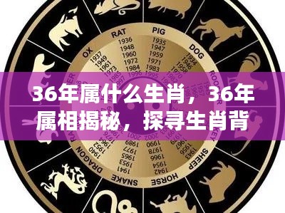 星座 第106页