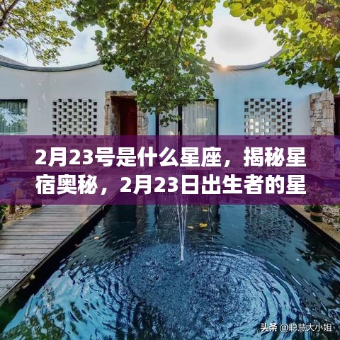 揭秘星宿奥秘，2月23日出生者的星座运势解析及星座特点探索