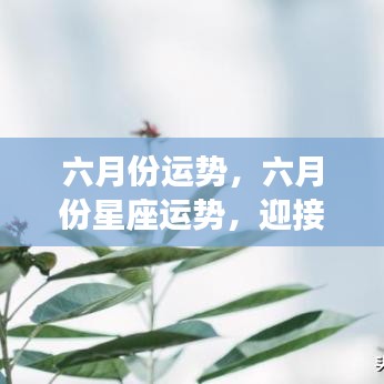 民贵君轻 第3页