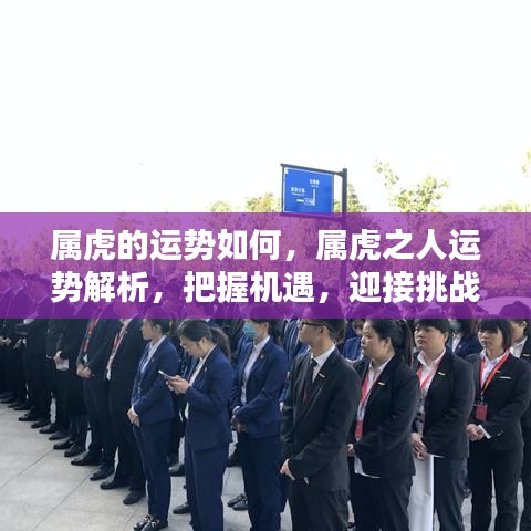 解梦 第105页