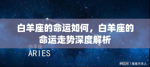 塔罗 第110页