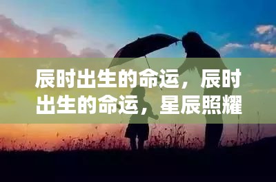鸟之将死 第3页