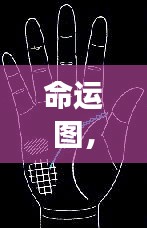 算命 第107页