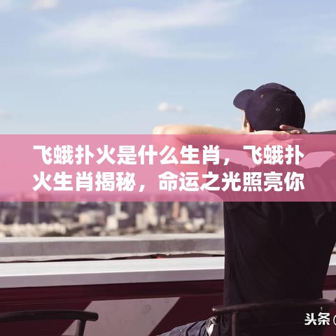 飞蛾扑火生肖揭秘，命运之光照亮前程之路