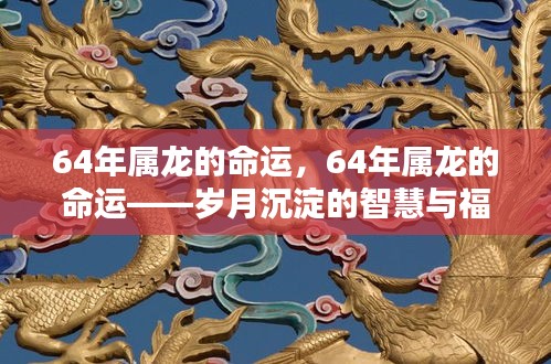 飞天遁地 第3页