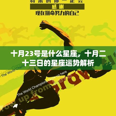 美轮美奂 第3页