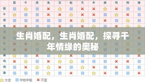解签 第98页