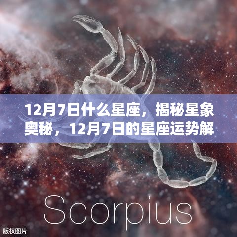 揭秘星象奥秘，12月7日星座运势解析及运势特点