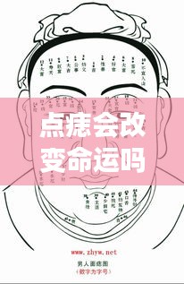 衣不兼采 第3页