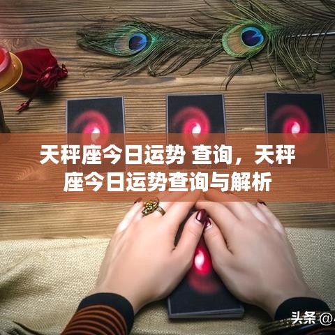 志在四方 第3页