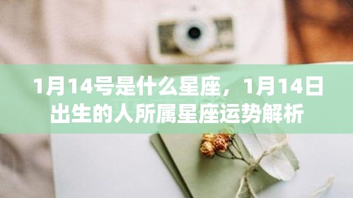 粗制滥造 第3页