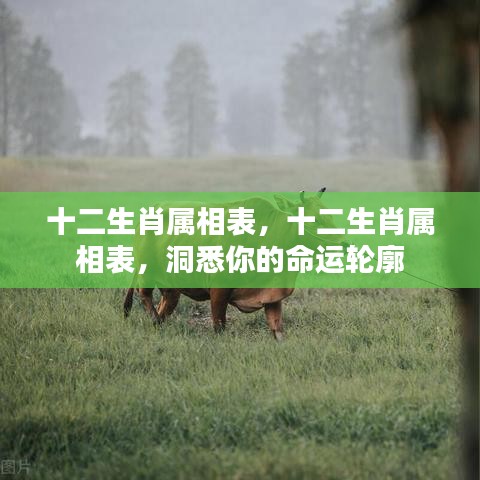 夫贵妻荣 第3页