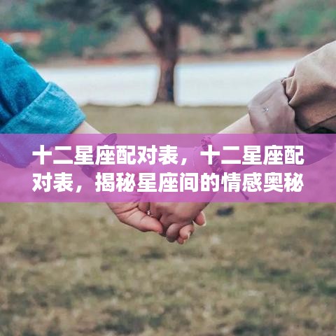 揭秘十二星座配对奥秘，星座情感配对表全解析
