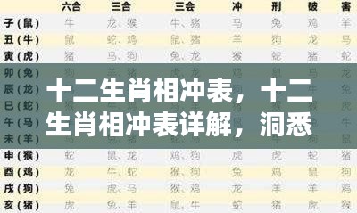 望其项背 第3页