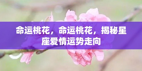 不耻下问 第3页