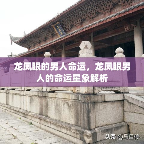 飞红滴翠 第4页