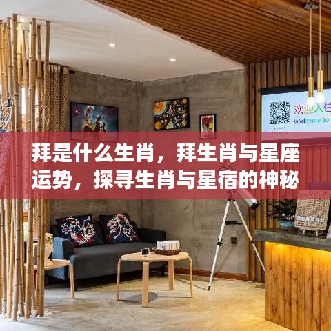 探寻生肖之谜，拜的生肖与星座运势的神秘联系