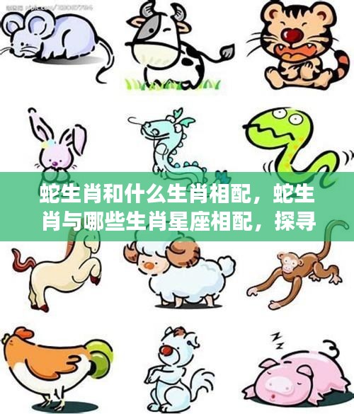 生肖蛇与星座的绝配组合，探寻生肖与星座和谐共鸣的奥秘