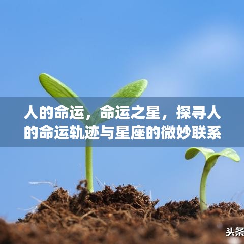好整以暇 第2页