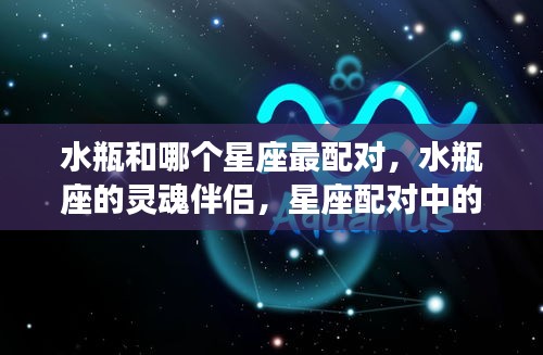 布被瓦器 第3页