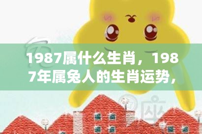 揭秘生肖兔，1987年属兔人的命运轨迹与人生起伏解析