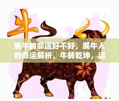 五侯七贵 第2页
