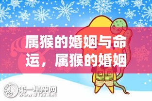属猴的婚姻与命运，星光情感与人生轨迹探索