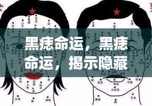 巧舌如簧 第2页