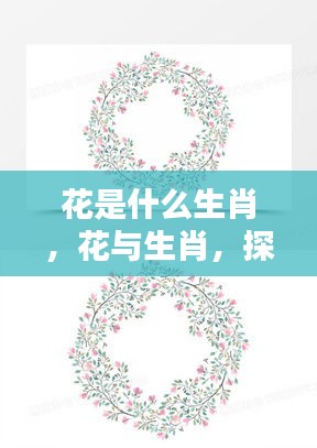 探寻花的生肖，奥秘与运势解析