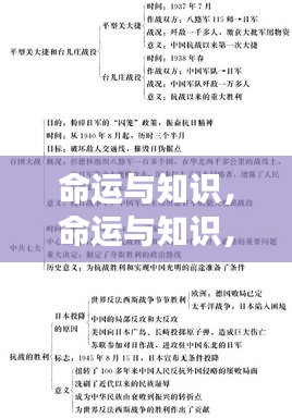 命运与知识，揭秘星座运势背后的深层逻辑探索