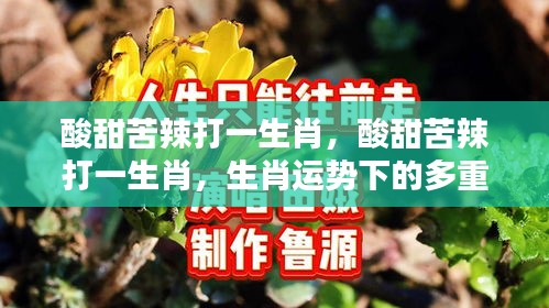 塔罗 第68页