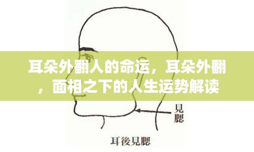 竭尽全力 第2页