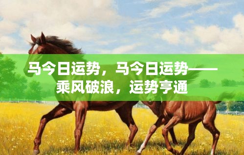 马今日运势，乘风破浪，运势亨通大解析