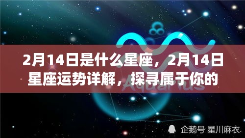 九死一生 第2页