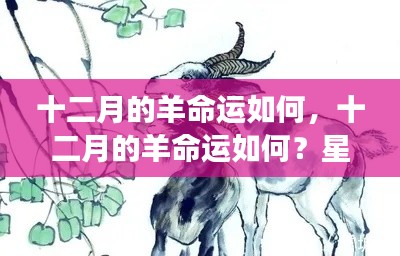 仙风道骨 第3页
